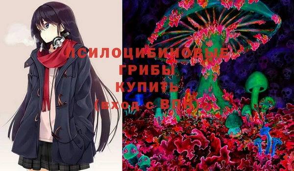 spice Армянск